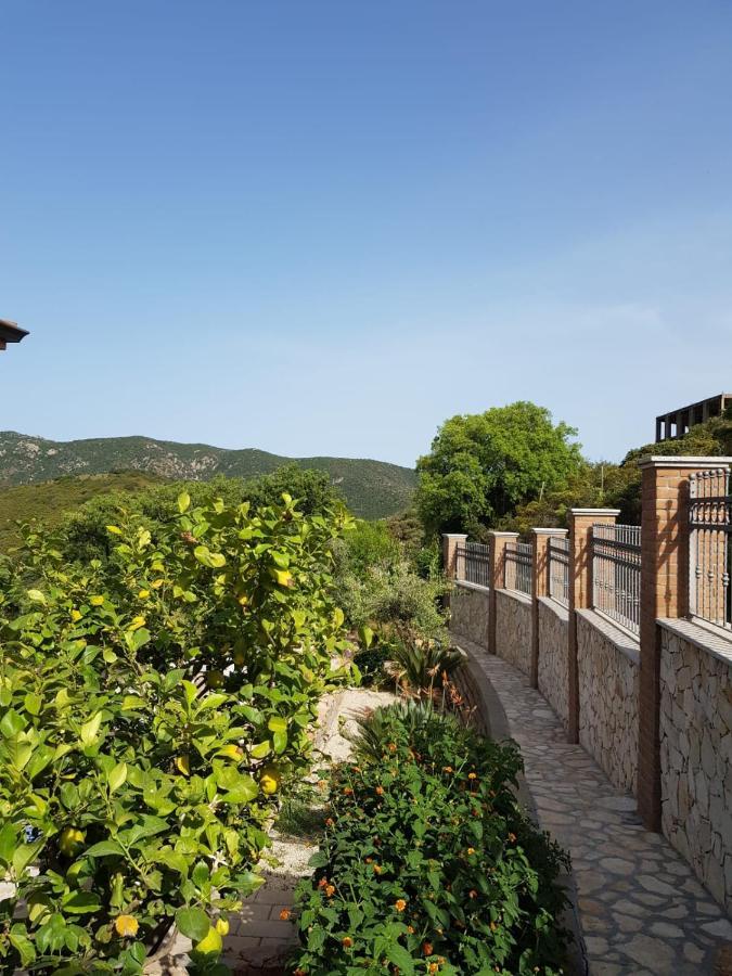 "La Pavoncella" Chia - Domus De Maria Vila Exterior foto