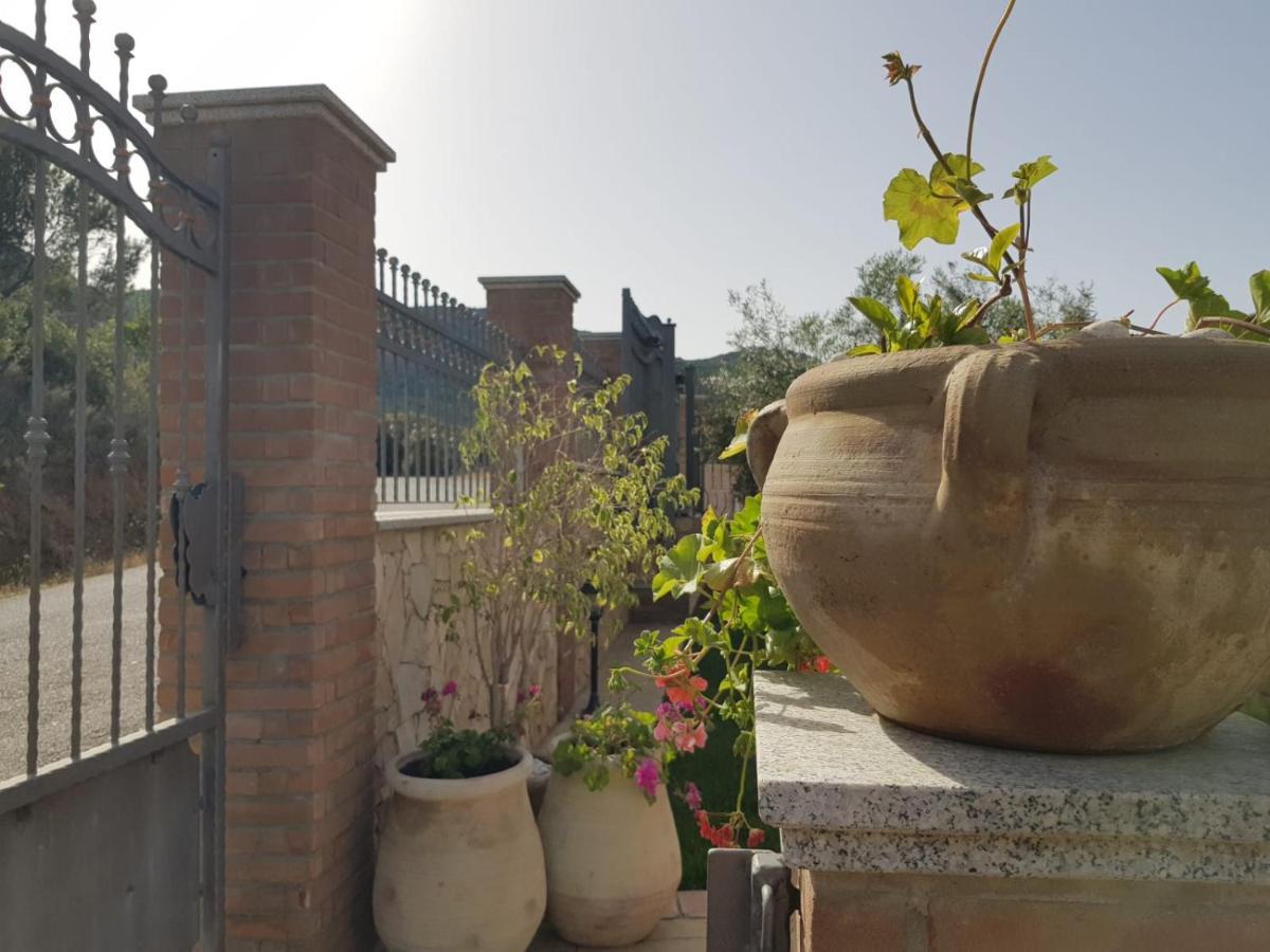 "La Pavoncella" Chia - Domus De Maria Vila Exterior foto